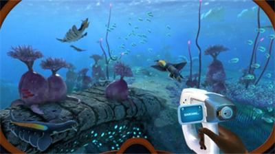 深海迷航2异星水域铅矿在哪找