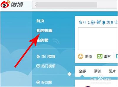 微博网页版官方入口链接在哪