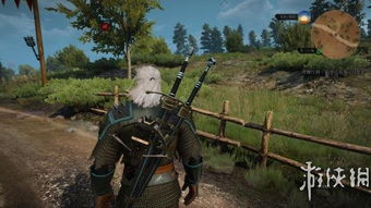 巫师3狂猎武器图鉴怎么获取