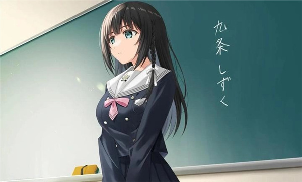 四叶草的花语高画质版