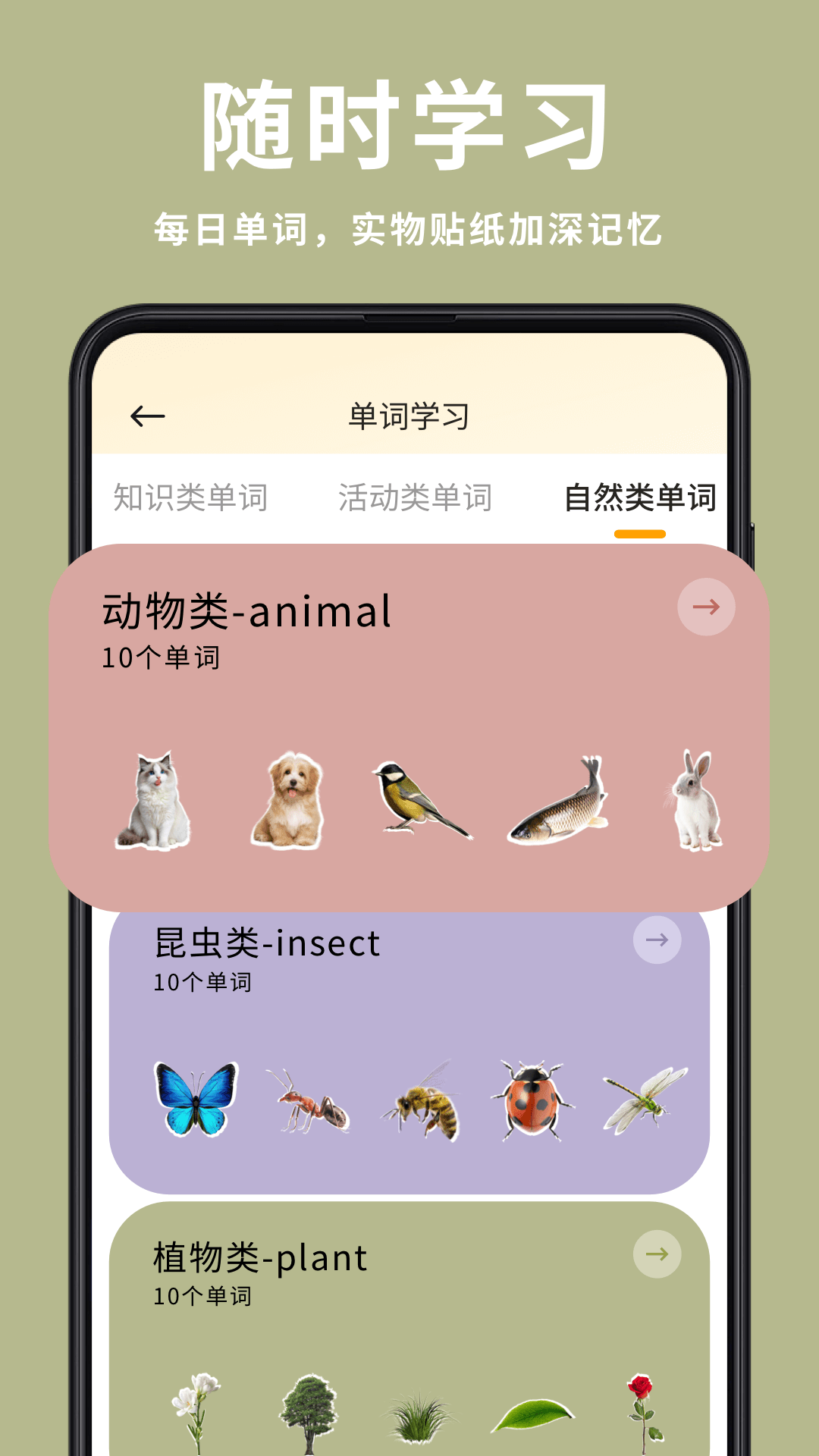 笔译站纯净版