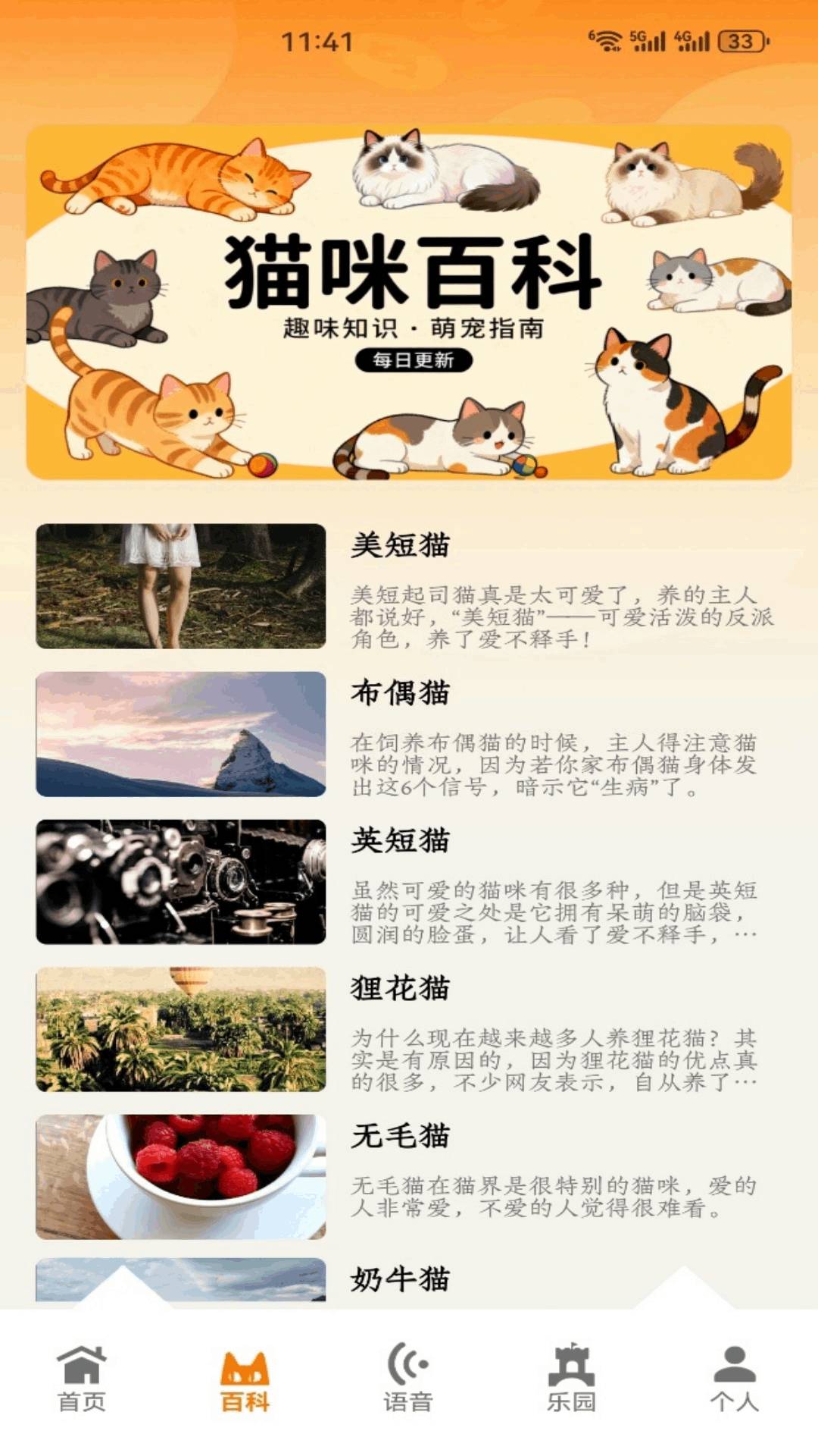 暖暖猫咪手机版