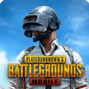 pubg地铁逃生ios免广告版