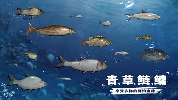 天天钓鱼达人版测试版