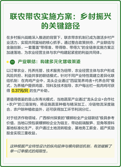 乡村振兴关键路径是什么