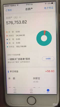 如何用支付宝AI版查看总资产与昨日收益