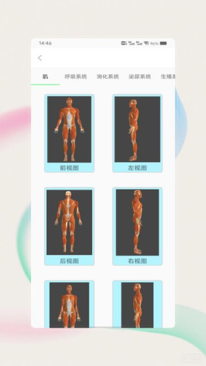 解剖图谱官网版