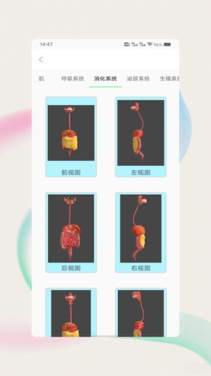 解剖图谱定制版