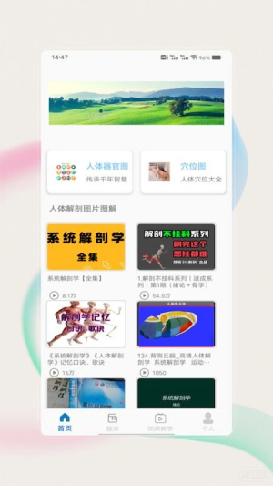 解剖图谱手机版