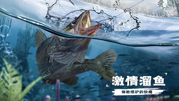 天天钓鱼达人版最新版