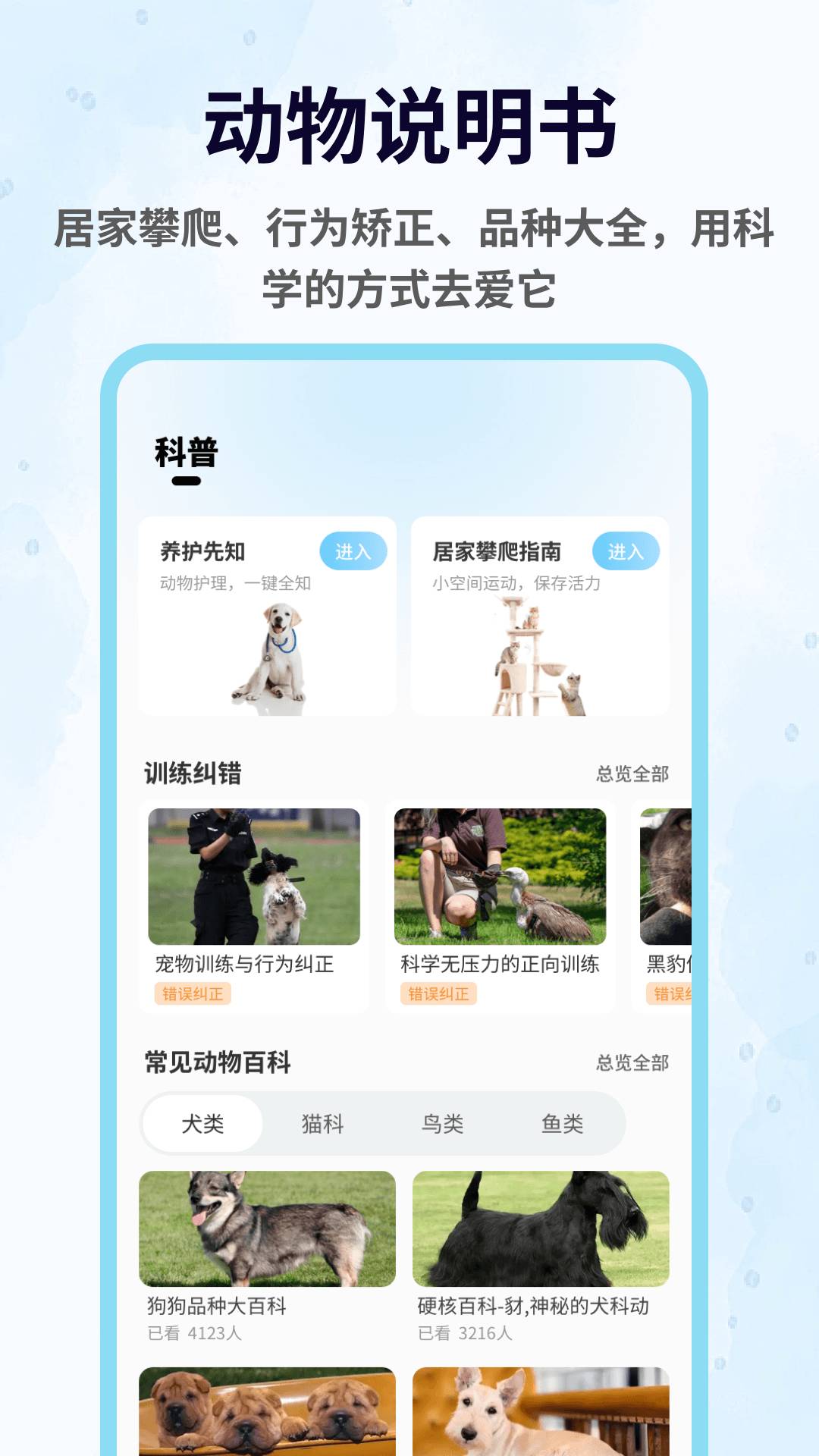 攀趴动物纯净版