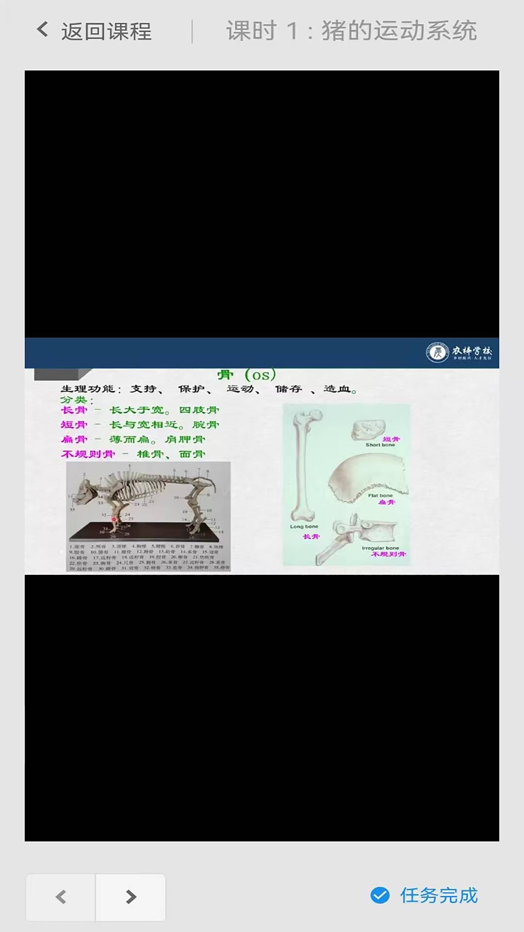 农梓学校定制版