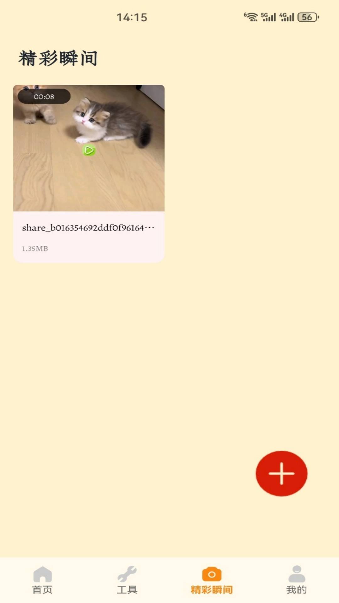 龙猫合合全新版本