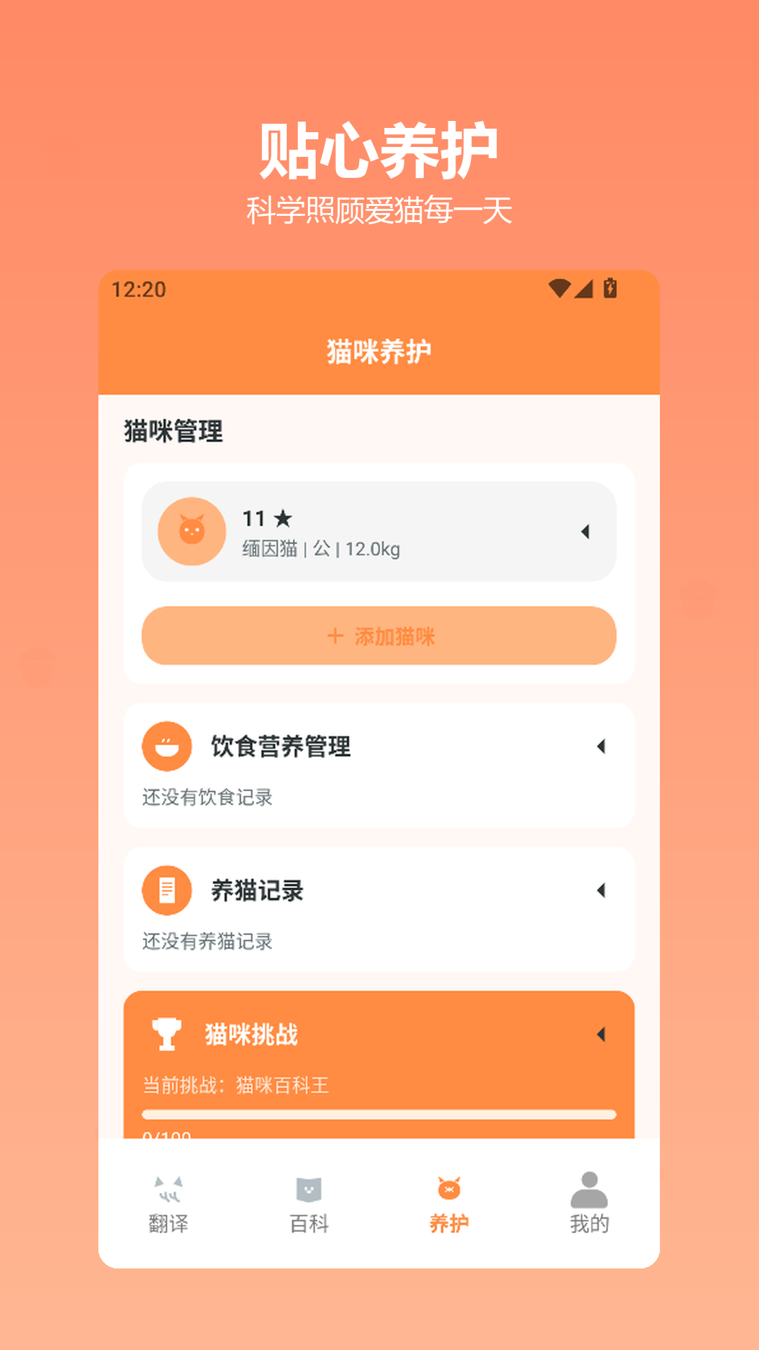 快乐小猫纯净版