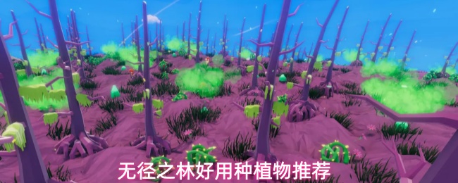 无径之林好用种植物推荐