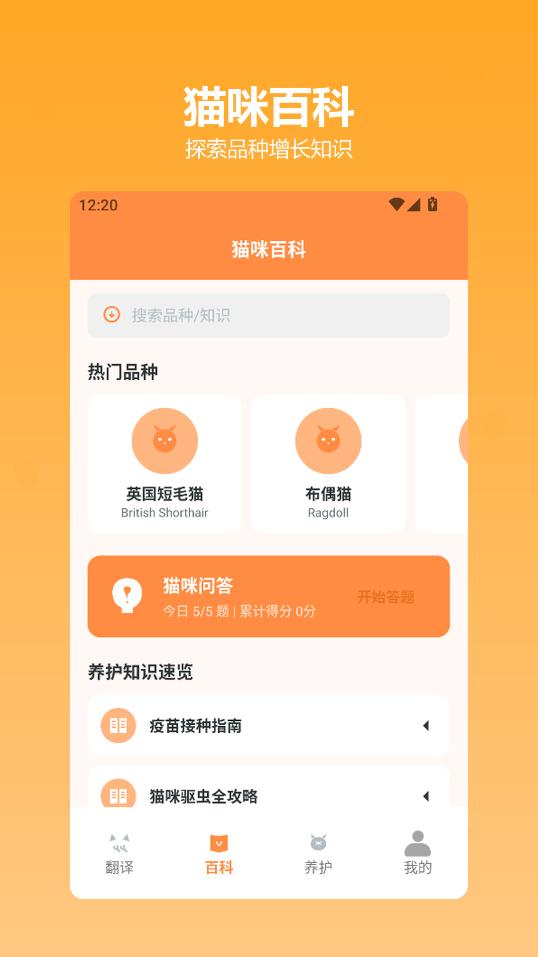 快乐小猫正式版