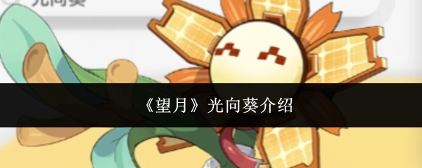 《望月》光向葵介绍