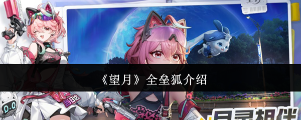 《望月》全垒狐介绍