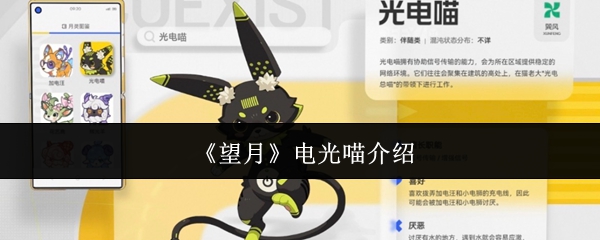 《望月》电光喵介绍