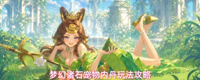 梦幻诸石宠物内丹玩法攻略