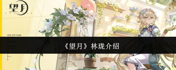 《望月》林珑介绍