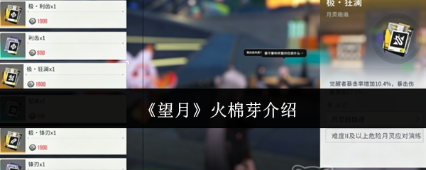 望月火棉芽怎么样火棉芽介绍