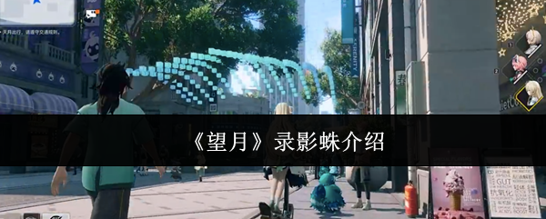 《望月》录影蛛介绍
