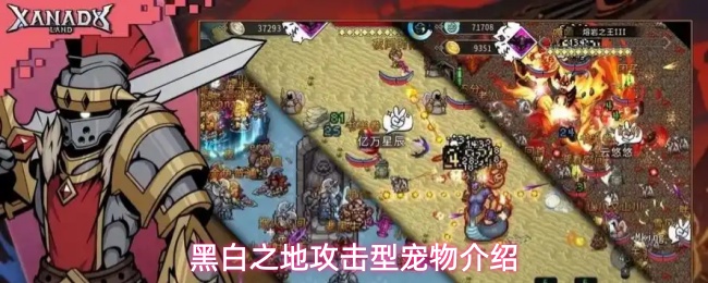 黑白之地攻击型宠物介绍