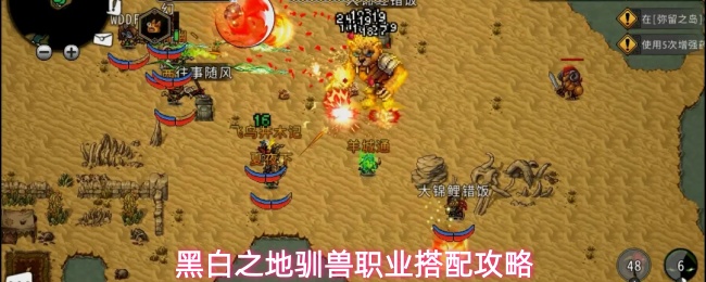 黑白之地驯兽职业搭配攻略