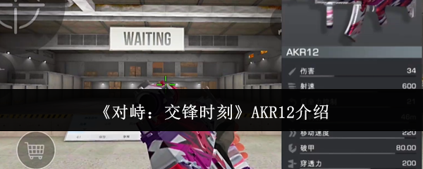 《对峙:交锋时刻》AKR12介绍