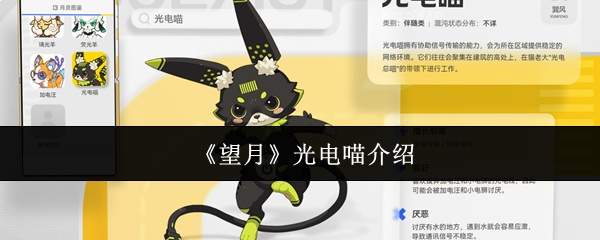 《望月》光电喵介绍