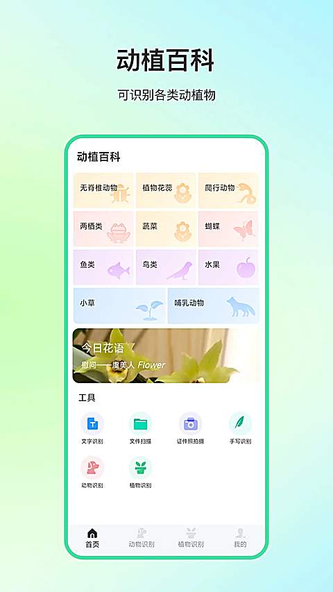 动物百科老版本