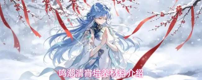鸣潮清宵培养材料介绍