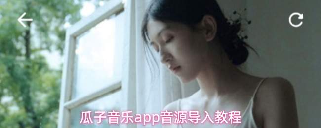 瓜子音乐app音源导入教程