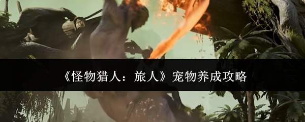 《怪物猎人:旅人》宠物养成攻略