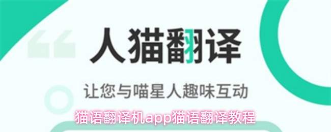 猫语翻译机app猫语翻译教程