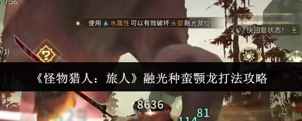 《怪物猎人:旅人》融光种蛮颚龙打法攻略