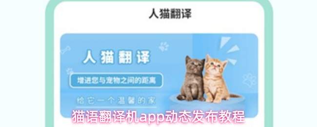猫语翻译机app动态发布教程