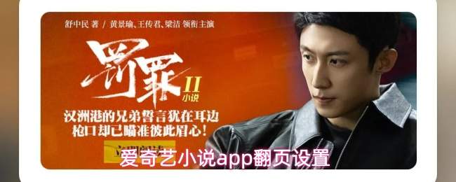 爱奇艺小说app翻页设置