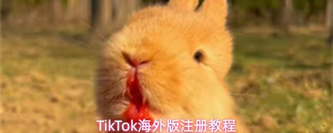 TikTok海外版注册教程