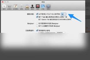 iPad文字大小在哪里设置
