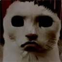 猫猫惊魂精简版