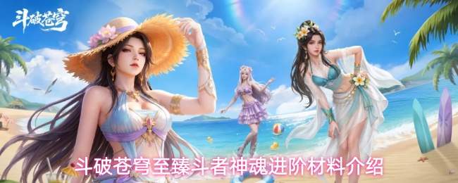 斗破苍穹至臻斗者神魂进阶材料介绍