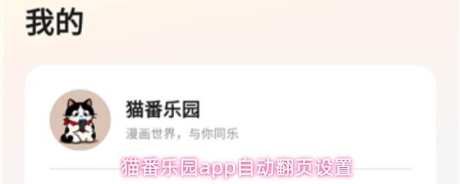猫番乐园app如何设置自动翻页功能