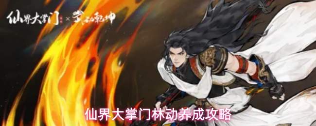 仙界大掌门林动养成攻略