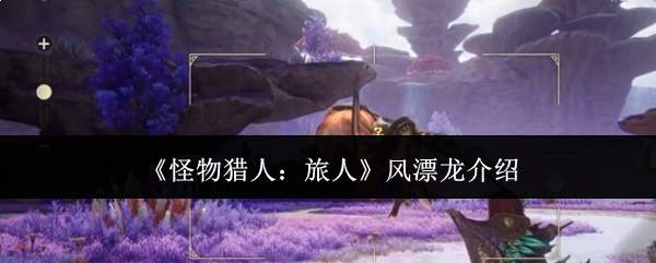 《怪物猎人:旅人》风漂龙介绍