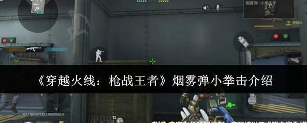 《穿越火线:枪战王者》烟雾弹小拳击介绍