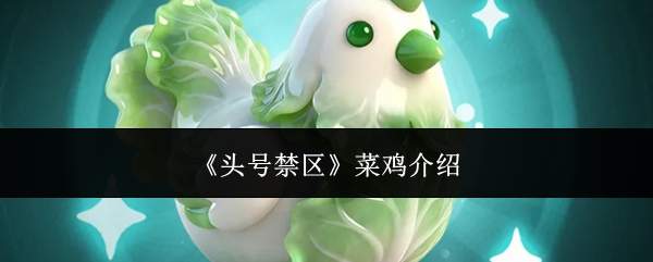 《头号禁区》菜鸡介绍