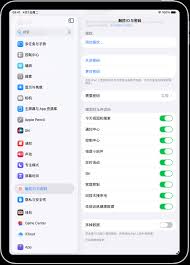 iPad锁定屏幕怎么自定义