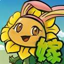 植物大战僵尸嫁接版去更新版